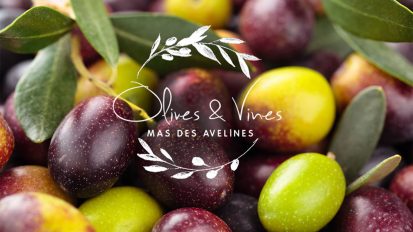 Olives and Vines
